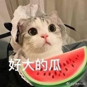 娱乐吃瓜女朋友送命题,女朋友送命题背后的甜蜜陷阱