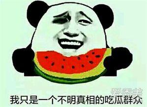 多多娱乐吃瓜群众,吃瓜群众热议，揭秘娱乐圈幕后故事