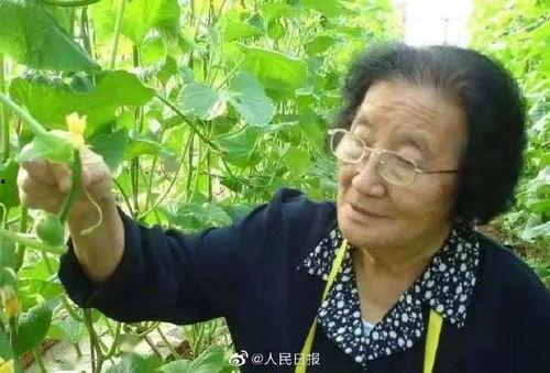 娱乐吃瓜酱不同人风向,揭秘明星们的风向之谜