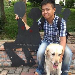 娱乐吃瓜酱导盲犬,跟随“吃瓜酱”探索无障碍世界的欢乐时光