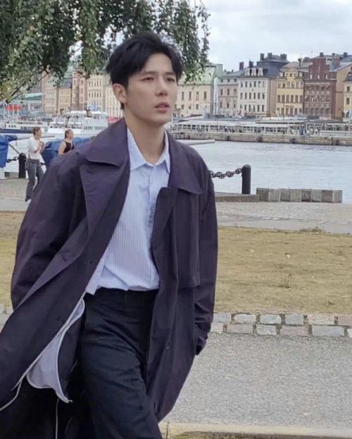 娱乐圈吃瓜王安宇,娱乐圈吃瓜王，揭秘明星幕后故事