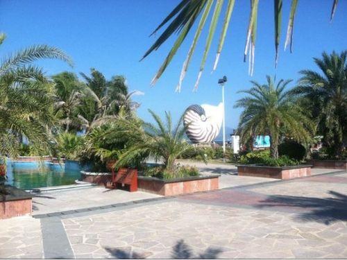 娱乐吃瓜岛,揭秘娱乐圈背后的那些事儿