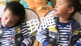 娱乐吃瓜酱打瞌睡,捕捉明星萌态瞬间