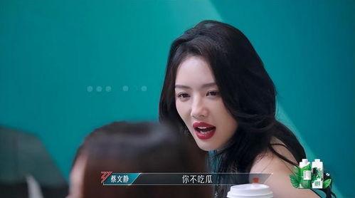 娱乐吃瓜君蔡文静,娱乐吃瓜界的风云人物