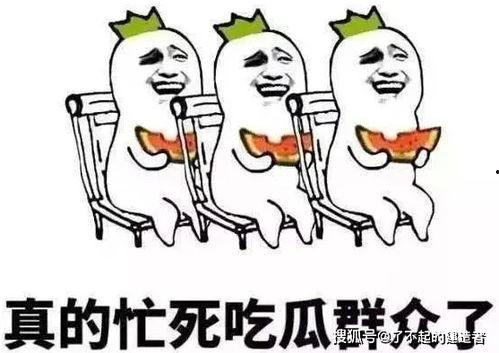 娱乐吃瓜酱智力退化,揭秘网络时代下的认知危机