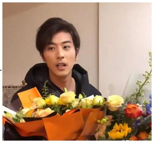 娱乐吃瓜爆料杨紫视频,娱乐吃瓜爆料，精彩瞬间大盘点