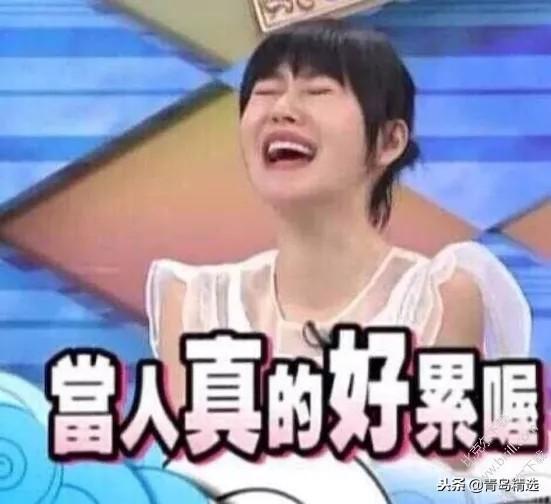 娱乐圈吃瓜两位教授视频,两位教授深度解析娱乐圈吃瓜现象