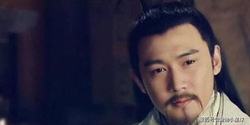 娱乐吃瓜酱卧龙凤雏,揭秘娱乐圈的神秘力量