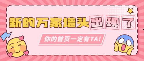 吃瓜营销号娱乐号区别,揭秘吃瓜与娱乐营销号的差异化魅力