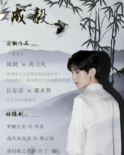 吃瓜娱乐圈成毅是谁,吃瓜娱乐圈的低调实力派