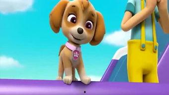 娱乐吃瓜君汪汪,揭秘娱乐圈那些不为人知的幕后故事