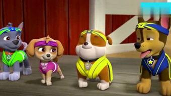 娱乐吃瓜君汪汪,揭秘娱乐圈那些不为人知的幕后故事